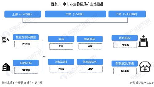 2023年中山市生物医药产业链全景解析 政策、图谱、布局与AI软件新动能