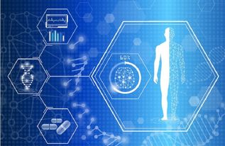 AI医疗的落地应用全景 从智能诊疗到基础软件开发的实践与探索