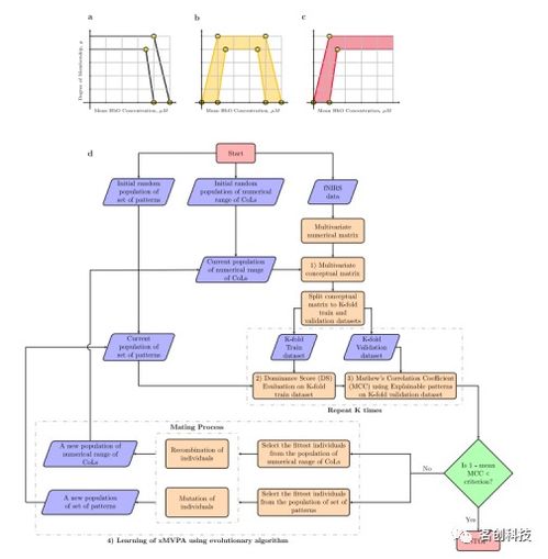 发展认知神经科学视域下基于可解释人工智能模型的婴儿fNIRS数据分析与基础软件开发