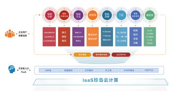 喜报 珍岛荣膺2019上海软件和信息技术服务业百强人工智能基础软件开发殊荣